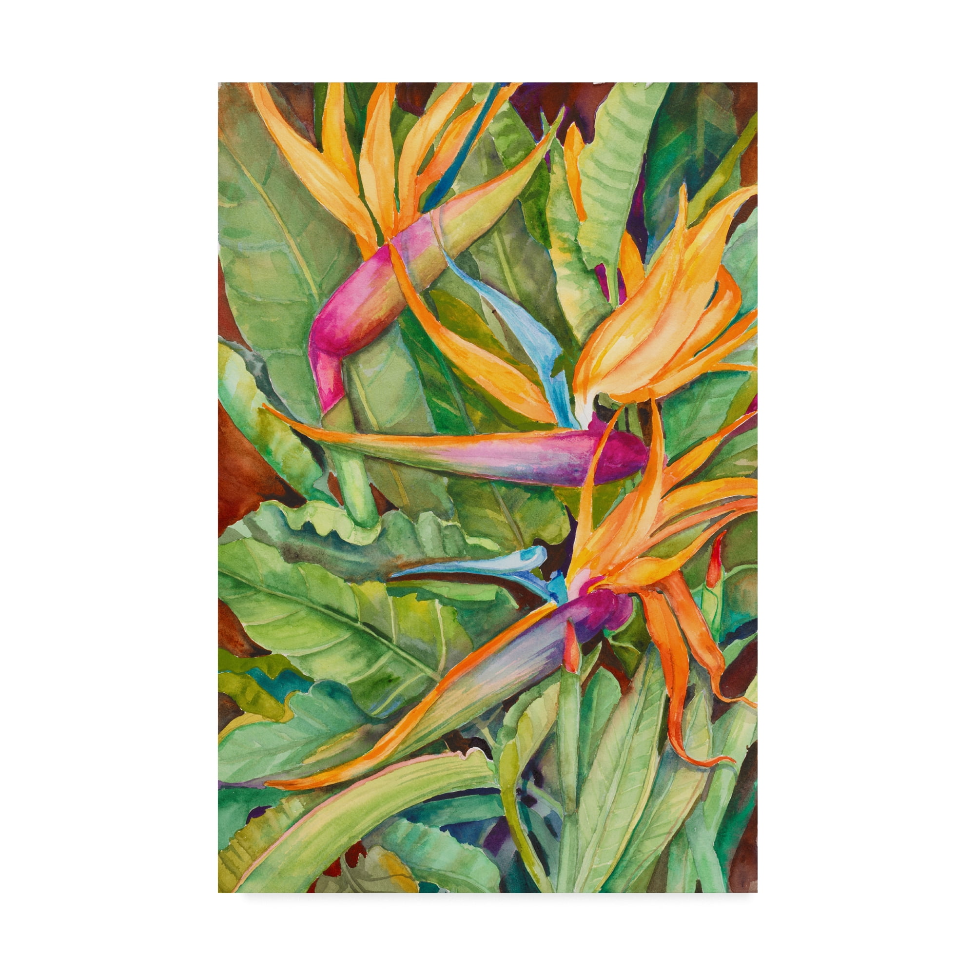 Birds of Paradise Framed Canvas Art in Vibrant Colors
