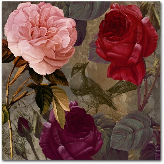 Trademark Fine Art "Birds and Roses" Canvas Art by Color Bakery