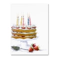 thumbnail image 1 of Trademark Fine Art 'Birthday Cake' Canvas Art by The Macneil Studio, 1 of 3