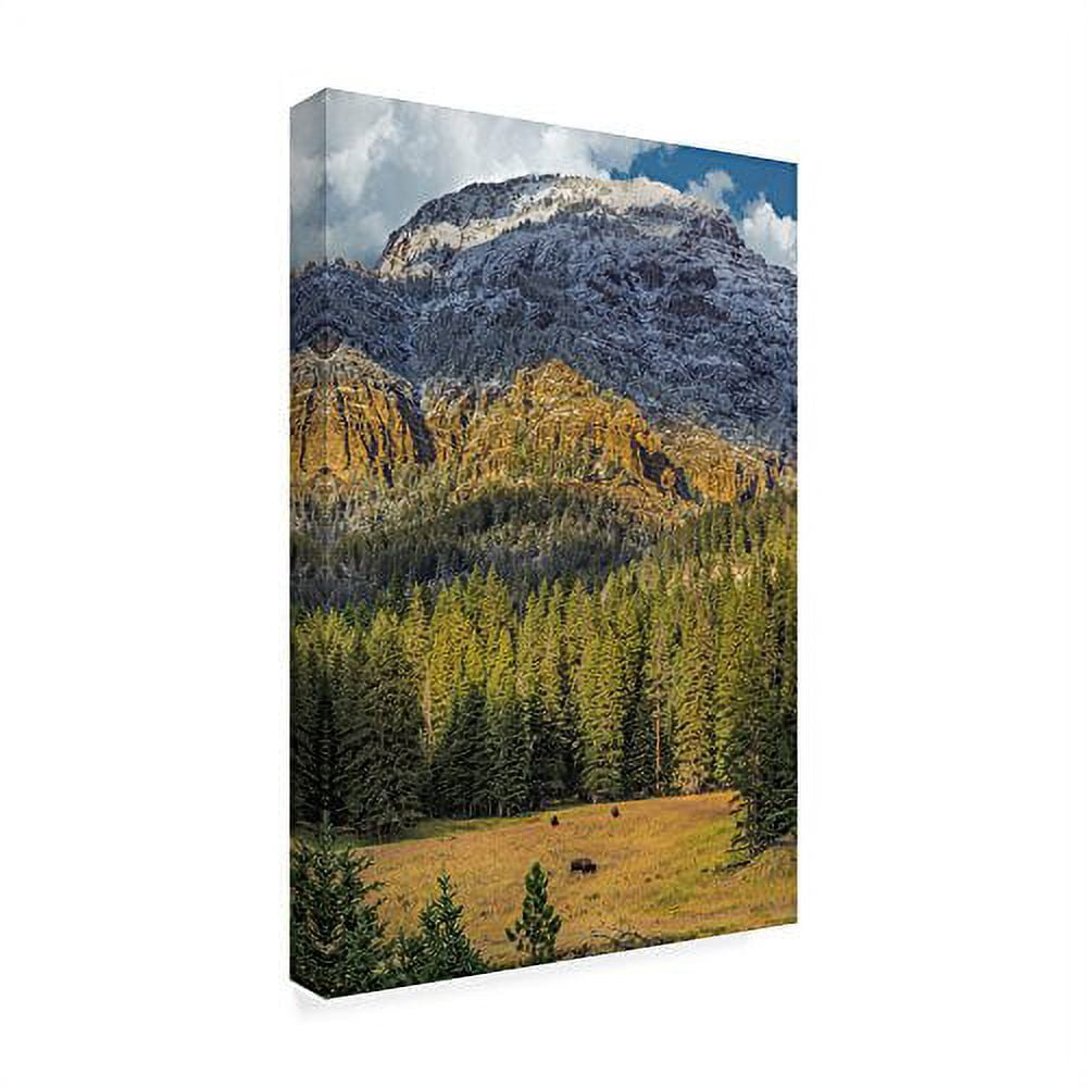 Trademark Fine Art 'Bison In The Yellowstone' Canvas Art by Galloimages Online