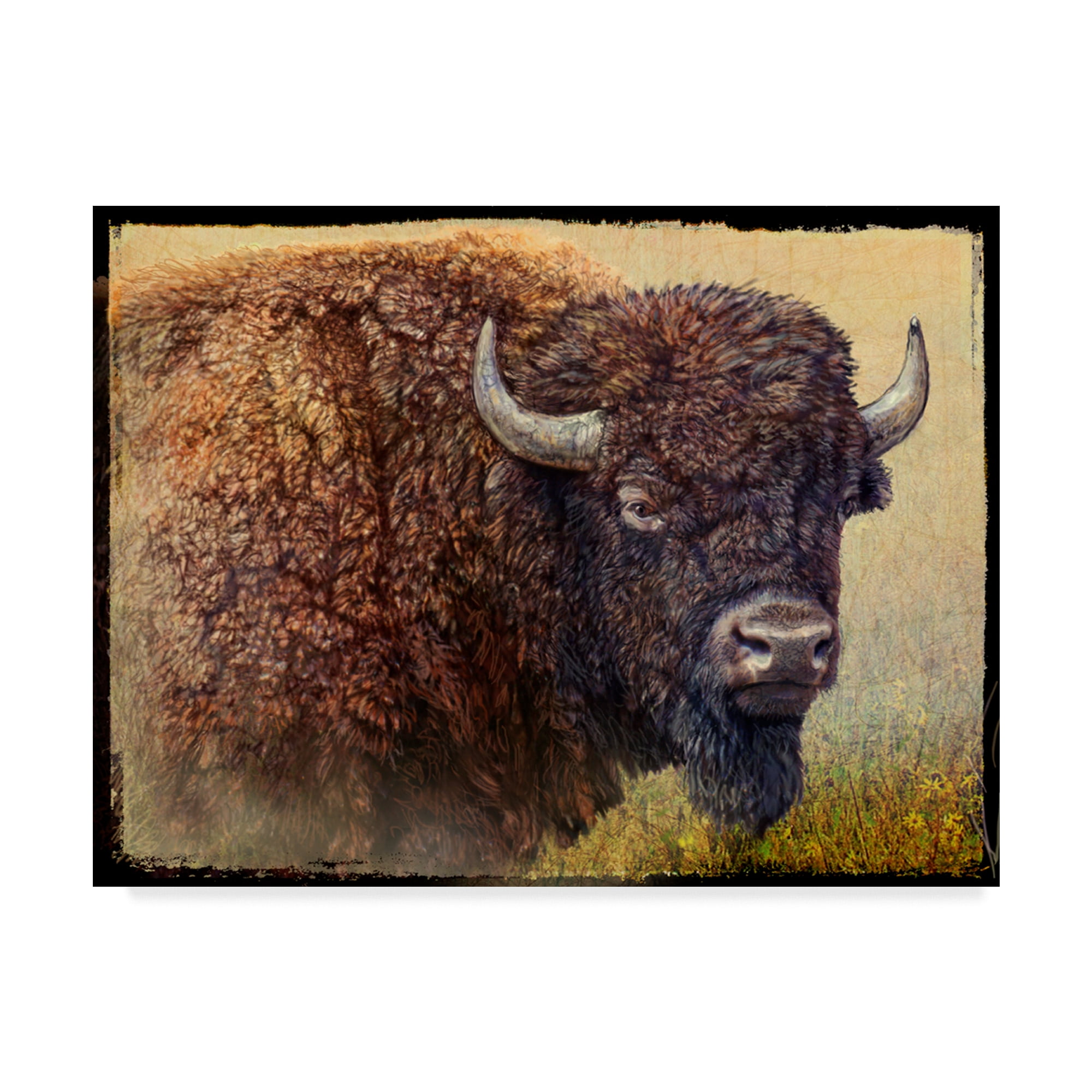 Trademark Fine Art 'Bison Portrait I' Canvas Art by Chris Vest