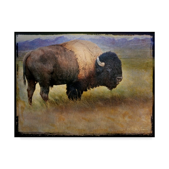 Trademark Fine Art 'Bison Portrait Mountains' Canvas Art by Chris Vest