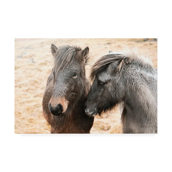 Trademark Fine Art 'Bjarni and Imir II' Canvas Art by Laura Marshall