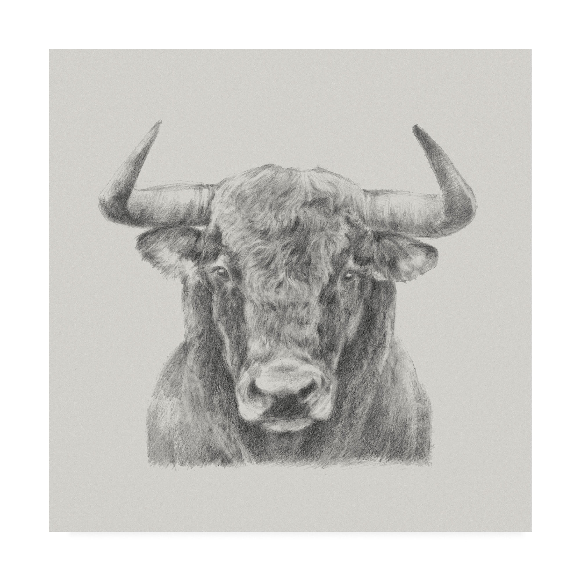 Trademark Fine Art 'Black And White Bull' Canvas Art by Ethan Harper