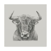 Trademark Fine Art 'Black And White Bull' Canvas Art by Ethan Harper