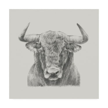 Trademark Fine Art 'Black And White Bull' Canvas Art by Ethan Harper