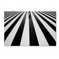 thumbnail image 1 of Trademark Fine Art 'Black And White' Canvas Art by Kouji Tomihisa, 1 of 3