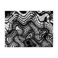 thumbnail image 1 of Trademark Fine Art 'Black And White Ceiling Wavy' Canvas Art by American School, 1 of 4