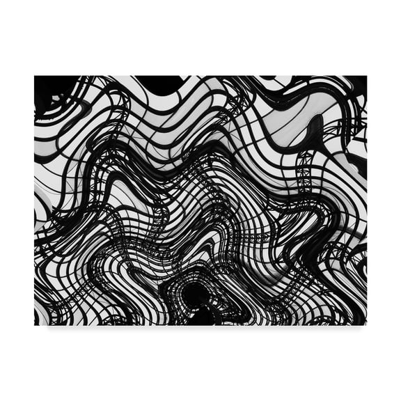 Trademark Fine Art 'Black And White Ceiling Wavy' Canvas Art by American School