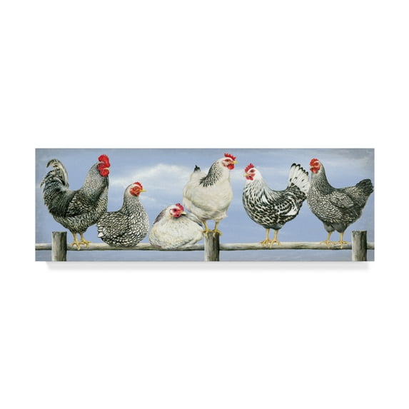 Trademark Fine Art 'Black And White Hens' Canvas Art by Janet Pidoux