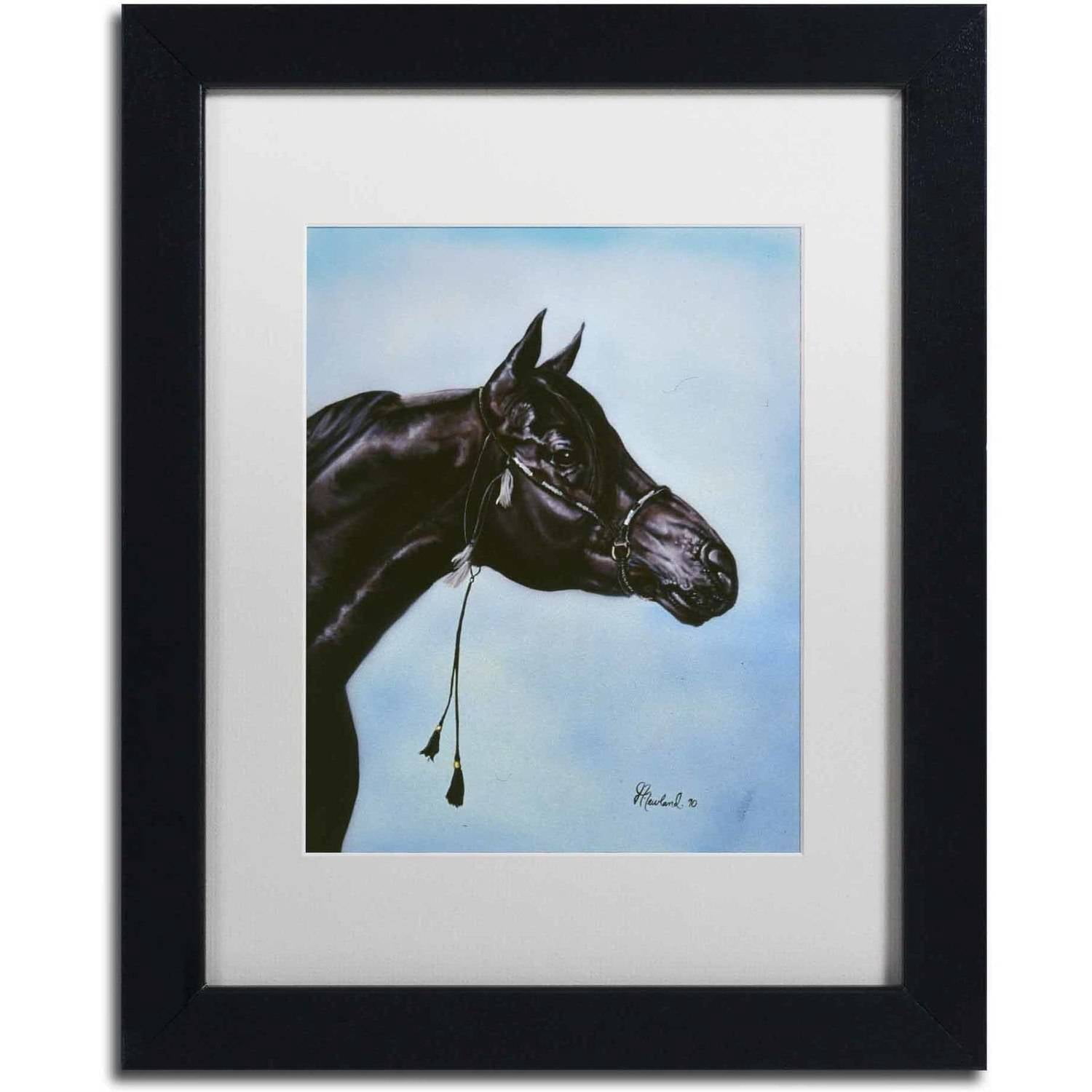 Trademark Fine Art 'Black Arabian' Canvas Art by Jenny Newland, White Matte, Black Frame