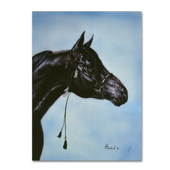 Trademark Fine Art 'Black Arabian' Canvas Art by Jenny Newland