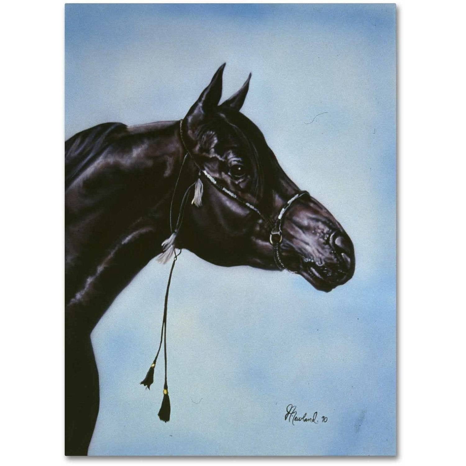 Trademark Fine Art 'Black Arabian' Canvas Art by Jenny Newland