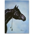 thumbnail image 1 of Trademark Fine Art 'Black Arabian' Canvas Art by Jenny Newland, 1 of 3