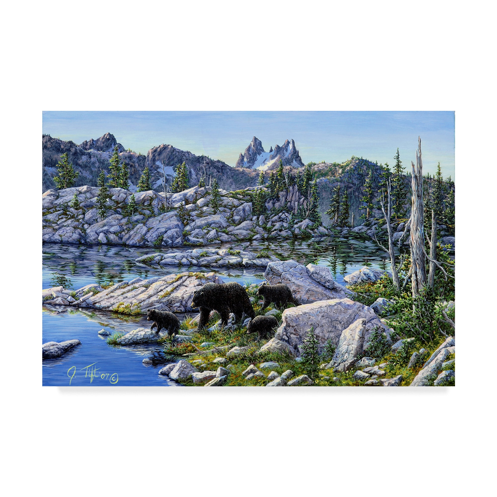 Trademark Fine Art 'Black Bear' Canvas Art by Jeff Tift
