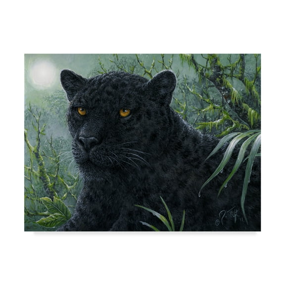 Trademark Fine Art 'Black Beauty' Canvas Art by Jeff Tift