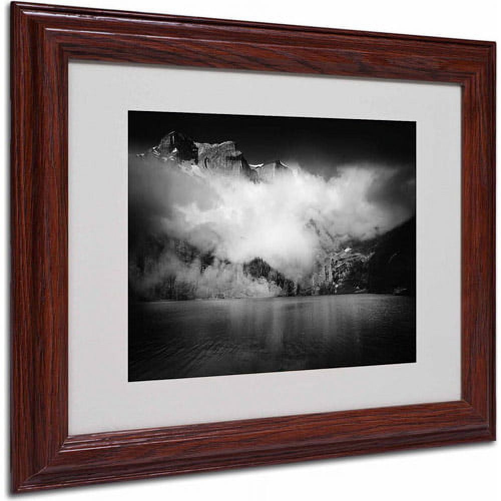 Trademark Fine Art "Black Beauty" Canvas Art by Philippe Sainte-Laudy, Wood Frame