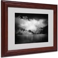 thumbnail image 1 of Trademark Fine Art "Black Beauty" Canvas Art by Philippe Sainte-Laudy, Wood Frame, 1 of 3