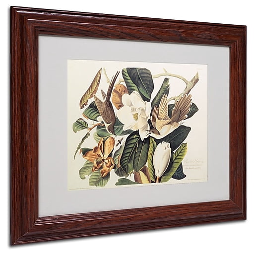 Trademark Fine Art "Black-Billed Cuckoo" Canvas Art by John James Audubon, Wood Frame