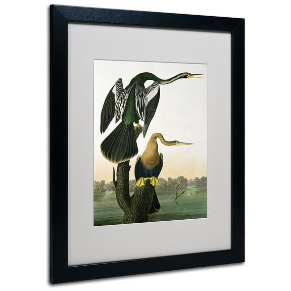 Trademark Fine Art "Black-Billed Darter" Canvas Art by John James Audubon, Black Frame