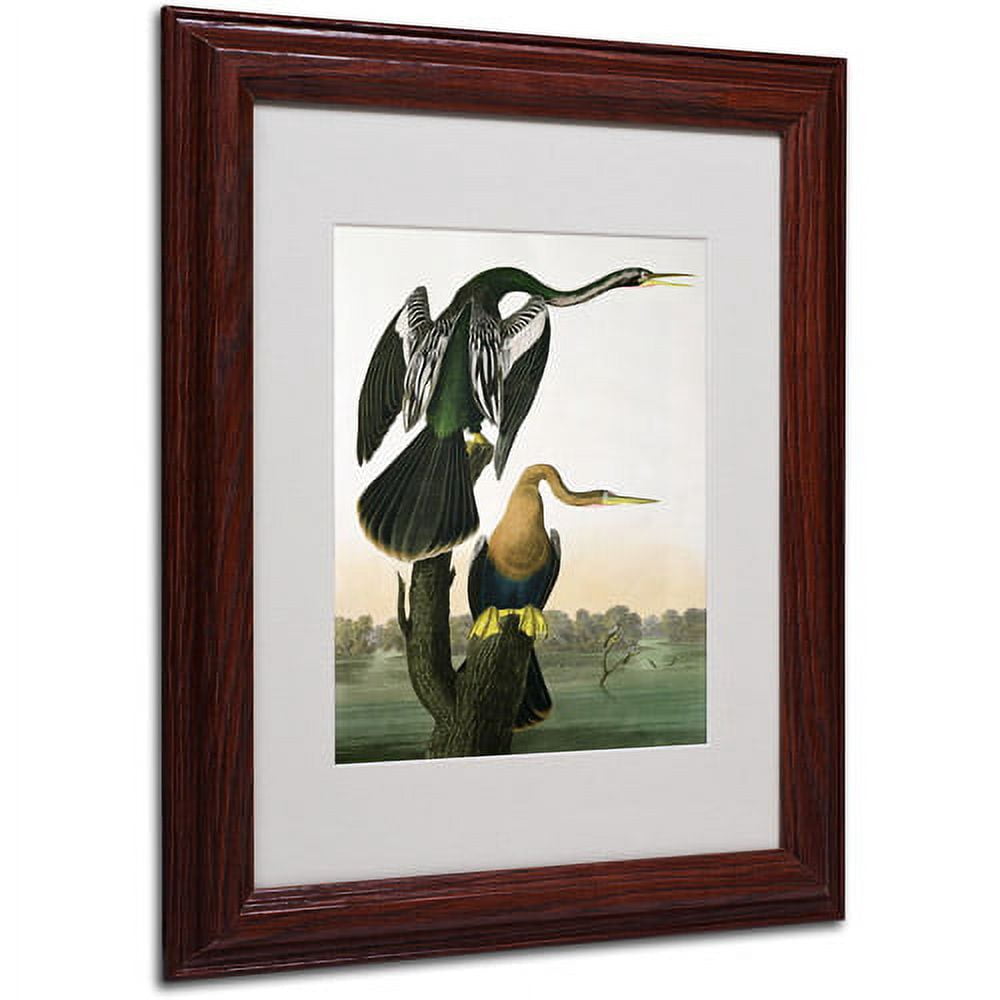 Trademark Fine Art "Black-Billed Darter" Canvas Art by John James Audubon, Wood Frame