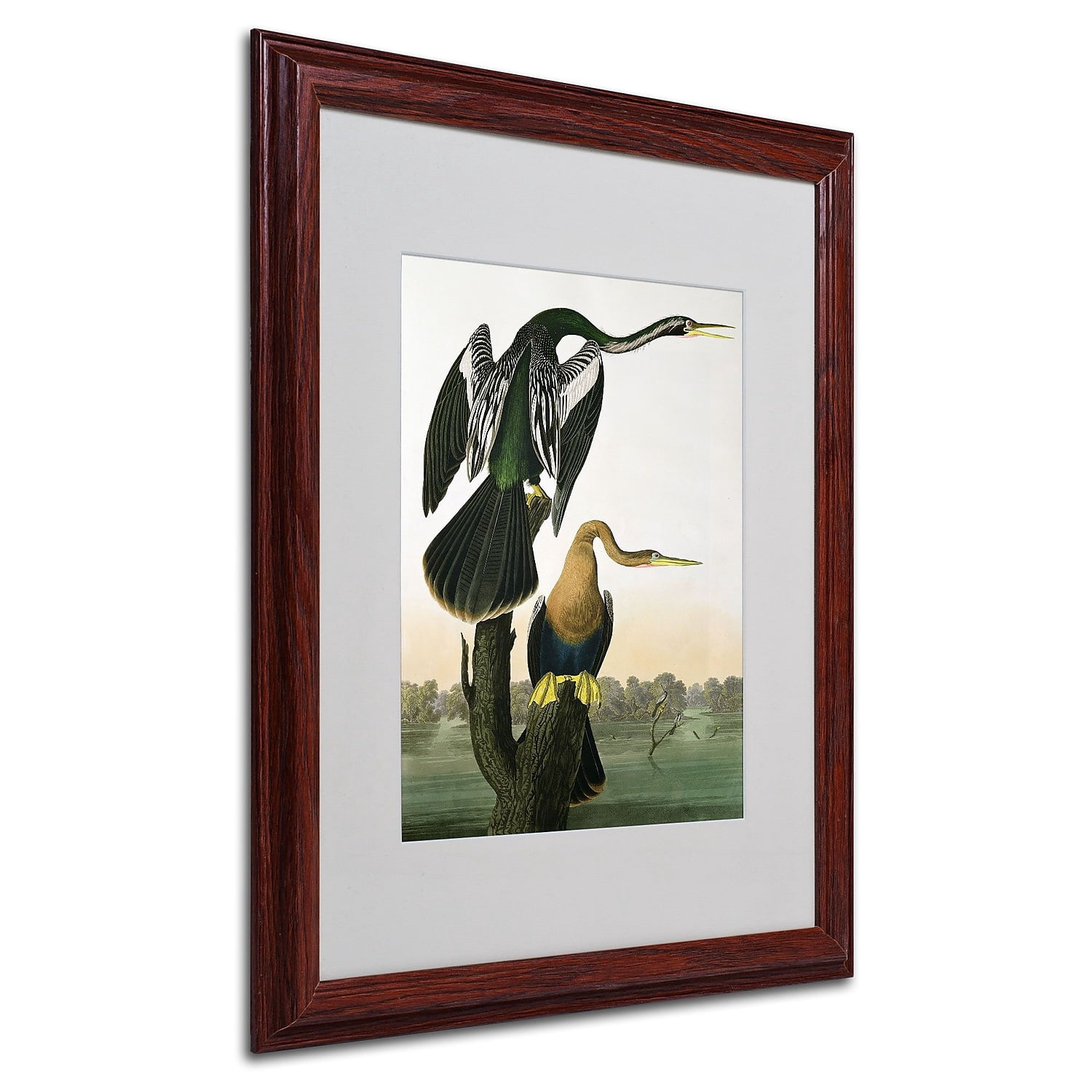 Trademark Fine Art "Black-Billed Darter" Canvas Art by John James Audubon, Wood Frame