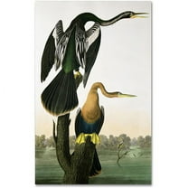 Trademark Fine Art John James Audubon Black-Billed Darter Canvas Wall Art - 12x19