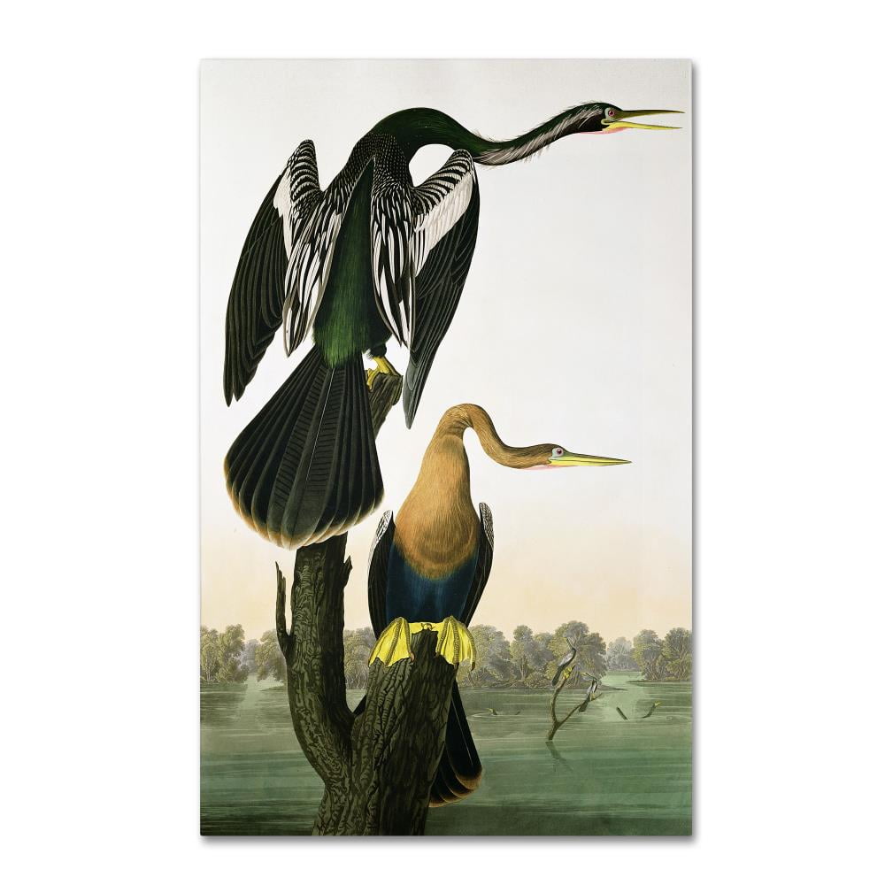 Trademark Fine Art 'Audubon Bird and Botanical I' Canvas Art