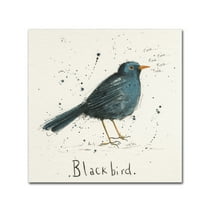 Trademark Fine Art 'Black Bird' Canvas Art by Michelle Campbell