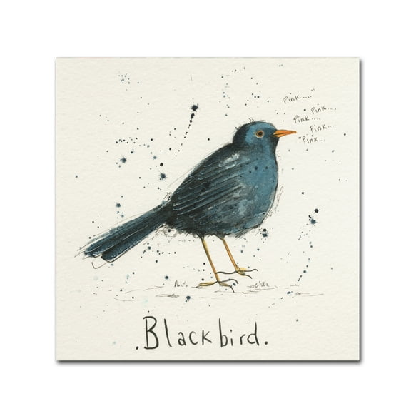 Trademark Fine Art 'Black Bird' Canvas Art by Michelle Campbell