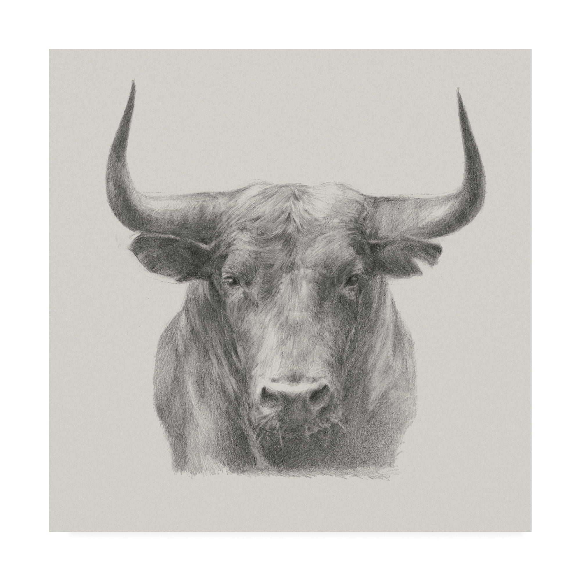 Trademark Fine Art 'Black Bull' Canvas Art by Ethan Harper