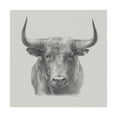 thumbnail image 1 of Trademark Fine Art 'Black Bull' Canvas Art by Ethan Harper, 1 of 4