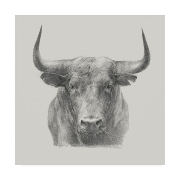 Trademark Fine Art 'Black Bull' Canvas Art by Ethan Harper