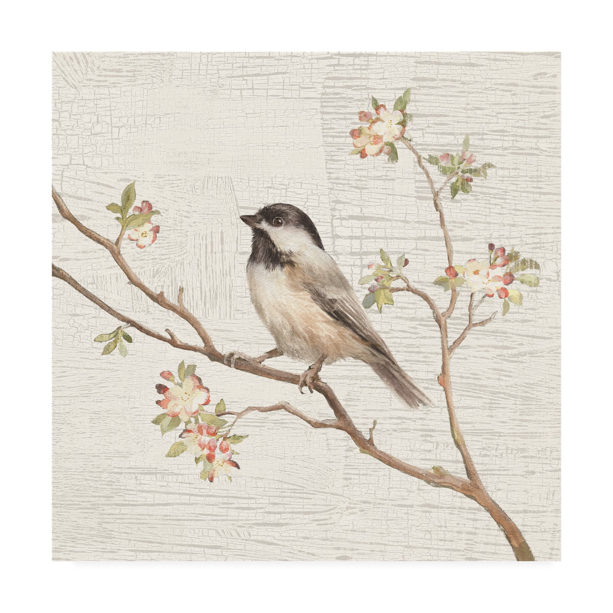 14x14 Beige and White Canvas Art with Black Capped Chickadee