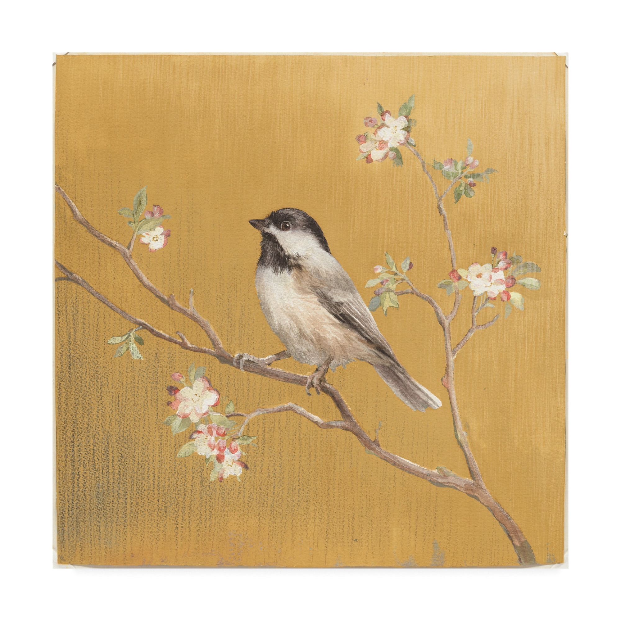 Trademark Fine Art 'Black Capped Chickadee on Gold' Canvas Art by Danhui Nai