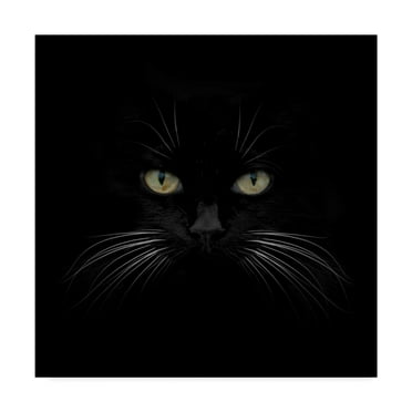 Trademark Fine Art 'Black Cat Centered' Canvas Art by Lori Hutchison