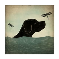Trademark Fine Art 'Black Dog Swim' Canvas Art by Ryan Fowler