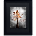 thumbnail image 1 of Trademark Fine Art "Black Fall" Canvas Art by Philippe Sainte-Laudy Black Matte, Black Frame, 1 of 4