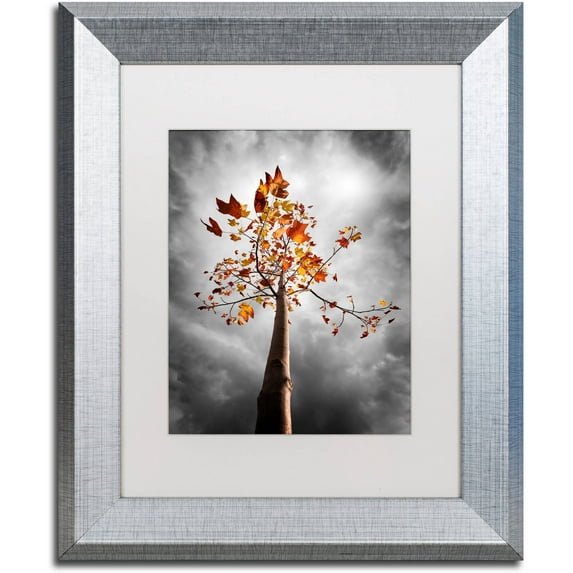 Trademark Fine Art "Black Fall" Canvas Art by Philippe Sainte-Laudy White Matte, Silver Frame