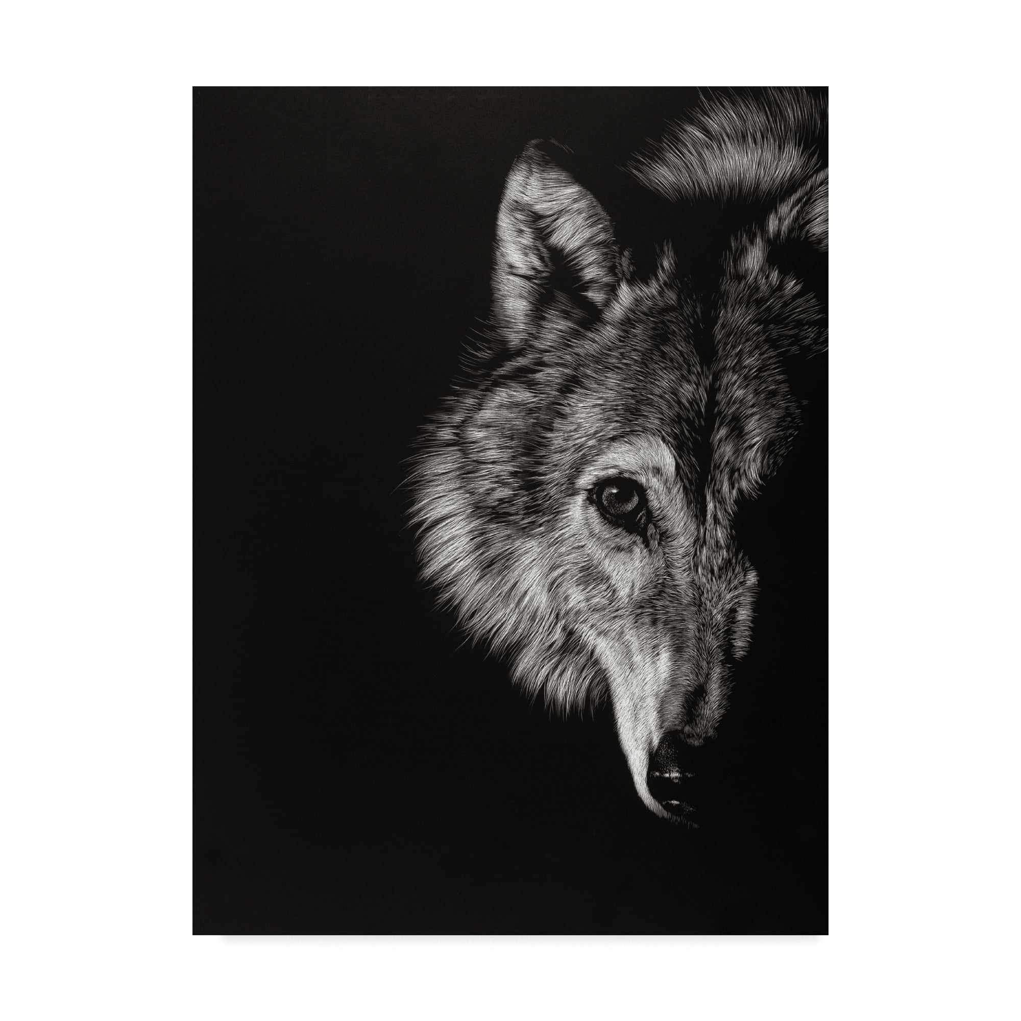 Trademark Fine Art 'Black Glimpse III' Canvas Art by Julie T. Chapman