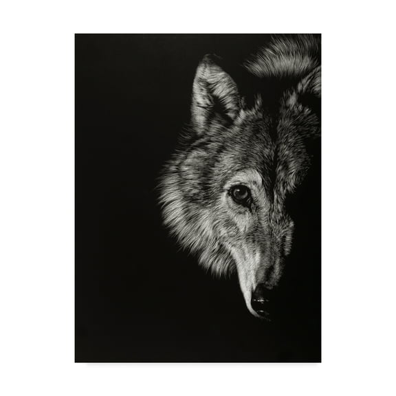 Trademark Fine Art 'Black Glimpse III' Canvas Art by Julie T. Chapman