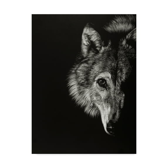 Trademark Fine Art 'Black Glimpse III' Canvas Art by Julie T. Chapman