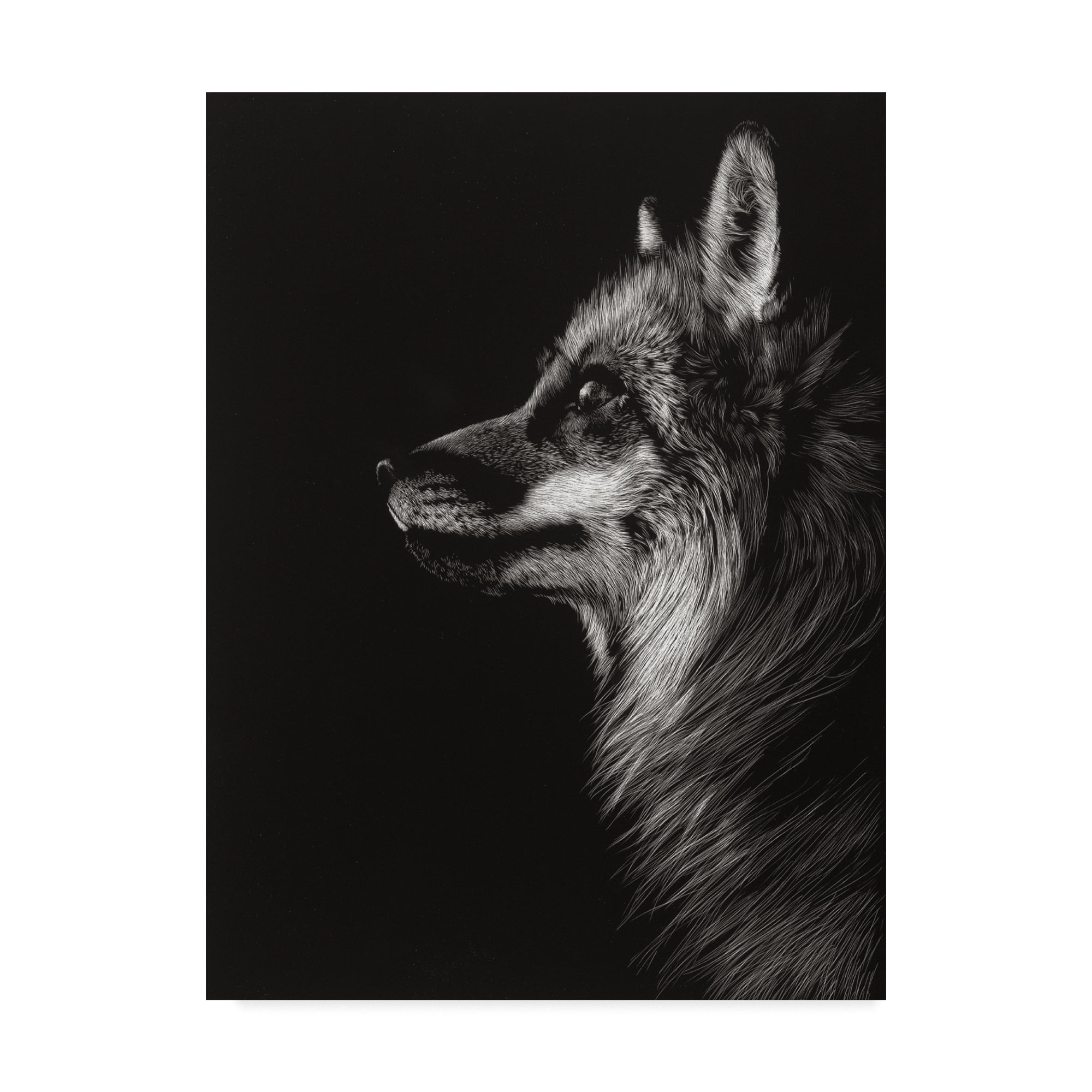 Trademark Fine Art 'Black Glimpse V' Canvas Art by Julie T. Chapman