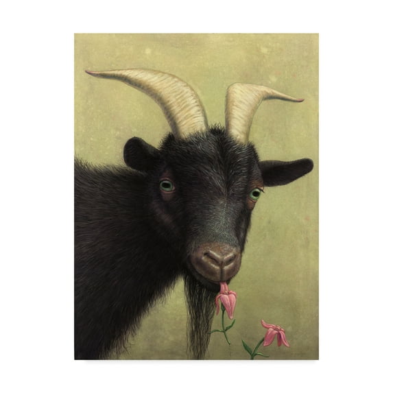 Trademark Fine Art 'Black Goat Enjoying a Pink Flower' Canvas Art by James W. Johnson
