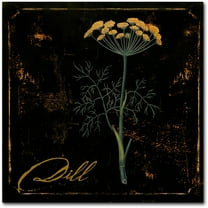 Trademark Fine Art "Black Gold Herbs I" Canvas Art by Color Bakery