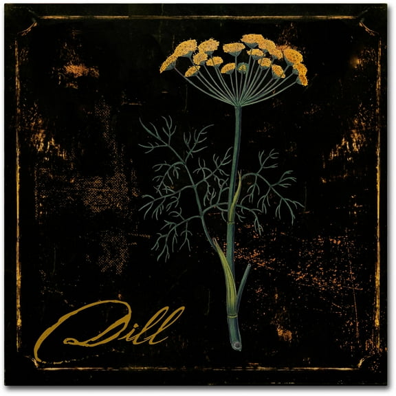 Trademark Fine Art "Black Gold Herbs I" Canvas Art by Color Bakery