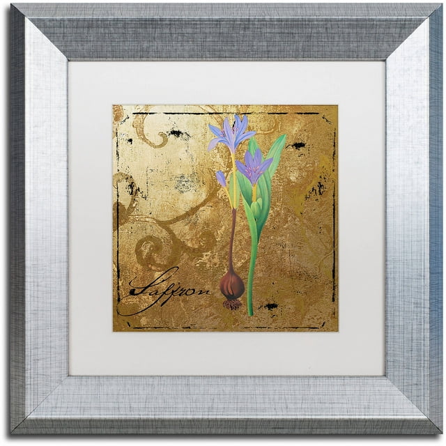 Trademark Fine Art "Black Gold Herbs II" Canvas Art by Color Bakery White Matte, Silver Frame