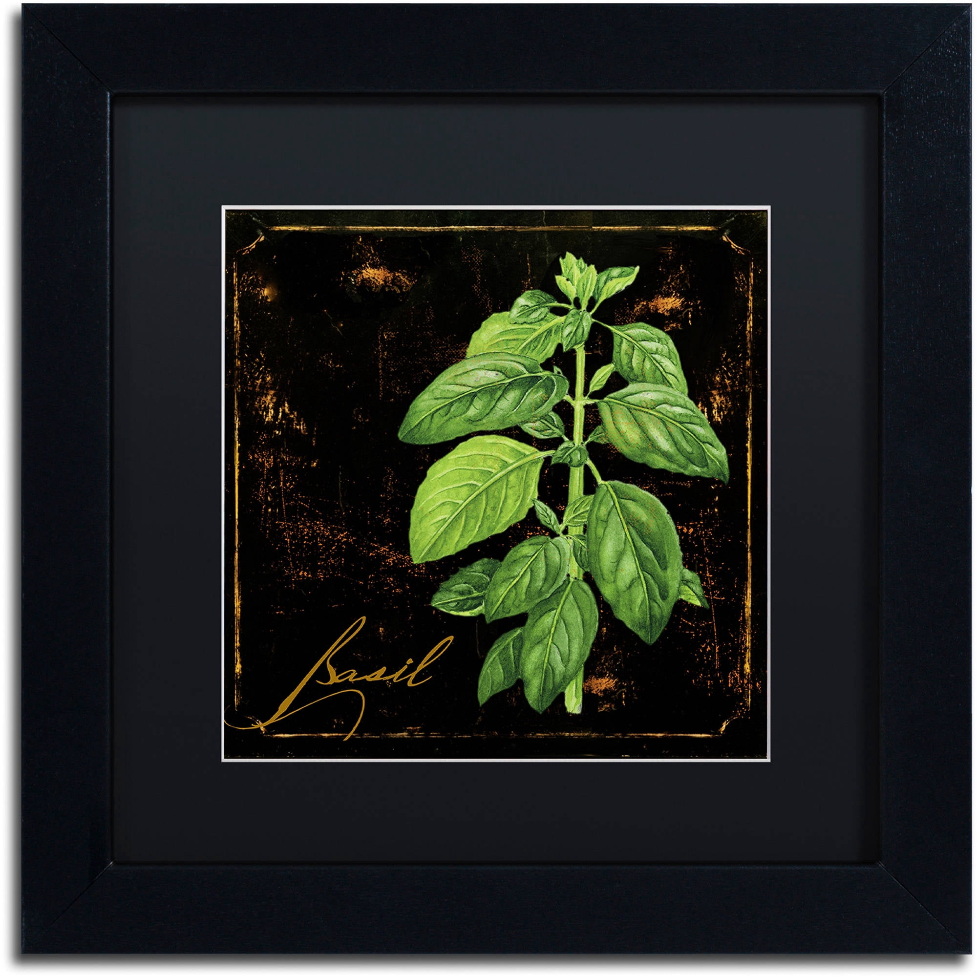 Trademark Fine Art "Black Gold Herbs IV" Canvas Art by Color Bakery Black Matte, Black Frame