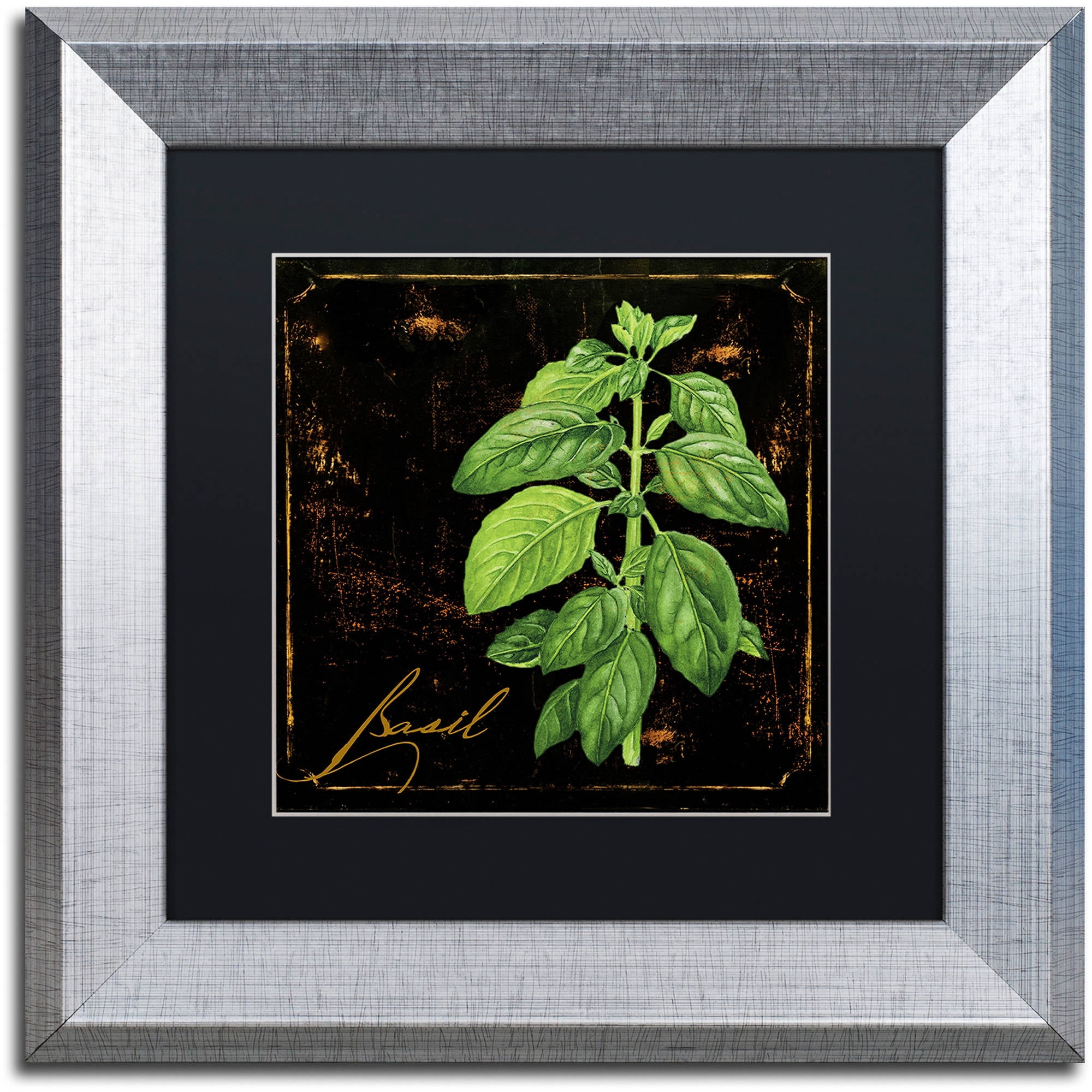 Trademark Fine Art "Black Gold Herbs IV" Canvas Art by Color Bakery Black Matte, Silver Frame