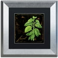 thumbnail image 1 of Trademark Fine Art "Black Gold Herbs IV" Canvas Art by Color Bakery Black Matte, Silver Frame, 1 of 4